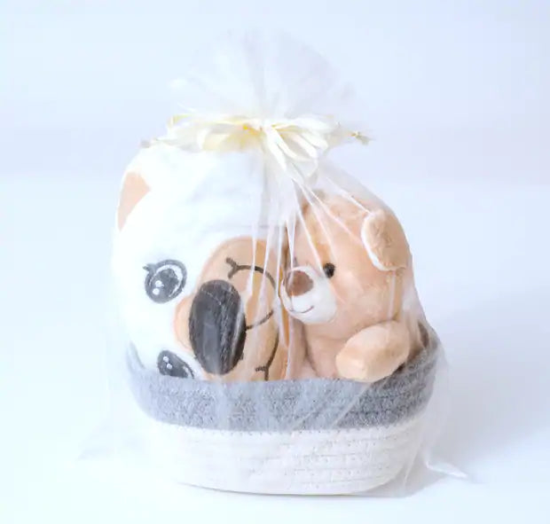 Mini Gift Basket - Hooded Baby Bath Towel and Washcloth Set - Brown Bear